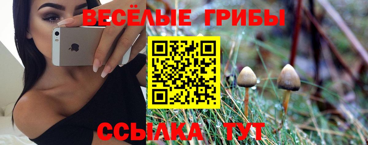 Меф   MDMA  Волжский  Экстази  Бошки Шишки  Амфетамин   Гашиш  Вход с VPN 