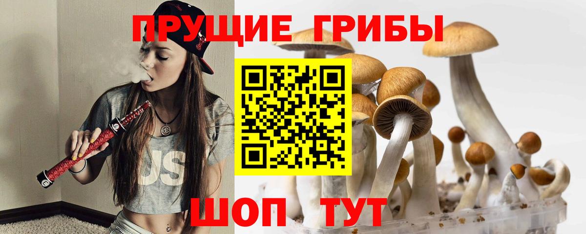 Галлюциногенные грибы Psilocybe  Вход с VPN  Волжский 